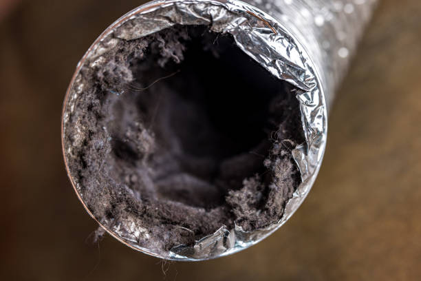 Best Ventilation Cleaning Services  in Rome, NY